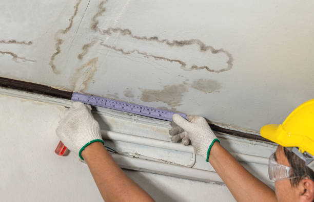 Reliable Water Removal contractor in North Branch, MI by Water Damage Irwin